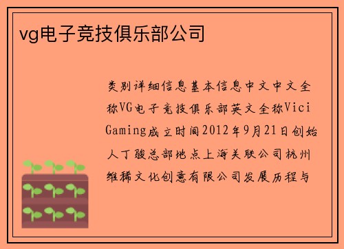 vg电子竞技俱乐部公司